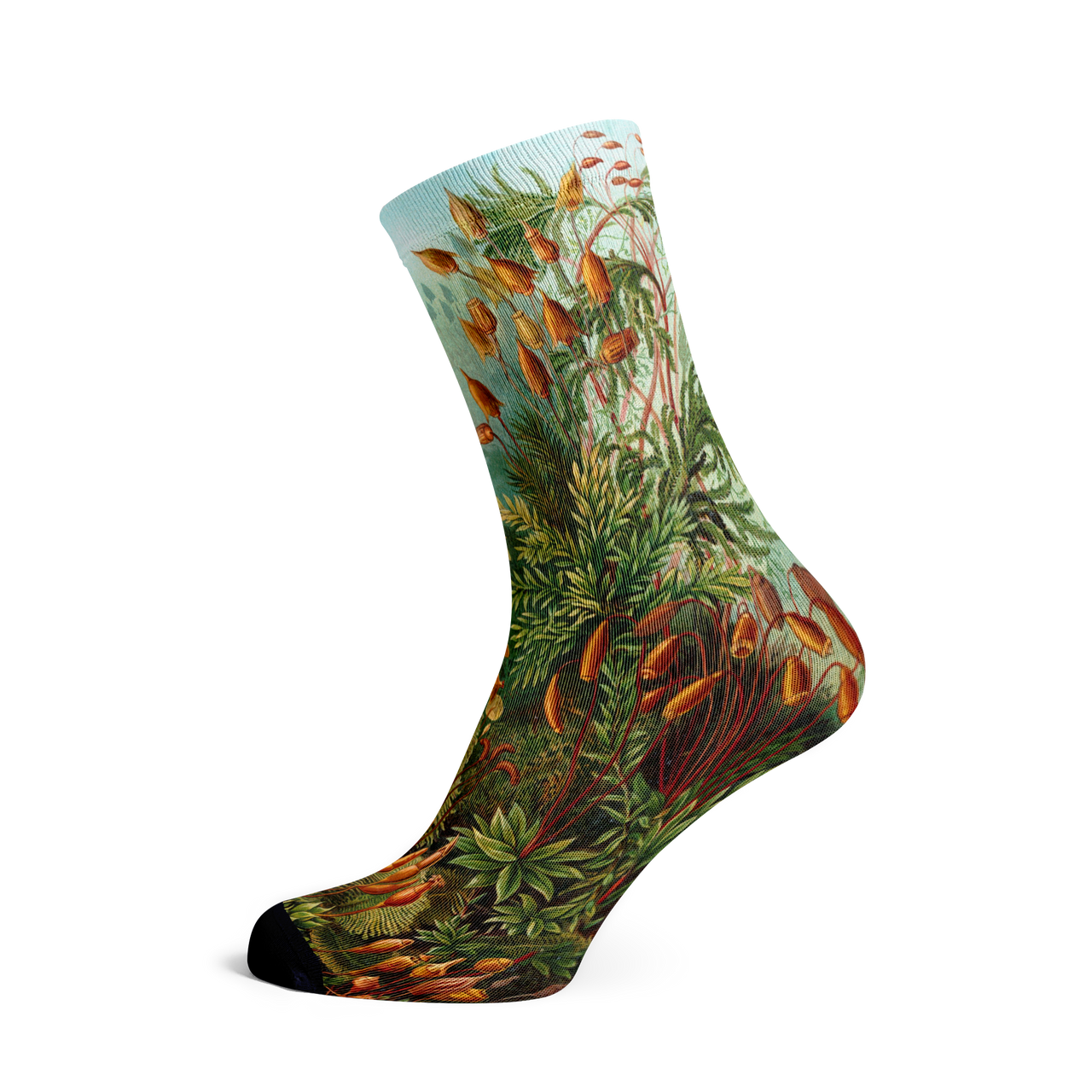 Socks by Haeckel (mushrooms, 5 pairs)